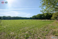 PAN222043 - zdjęcie nr 4