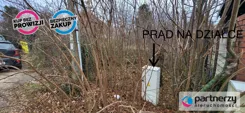 PAN209400 - zdjęcie nr 4