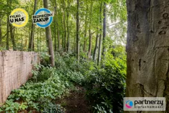 PAN621568 - zdjęcie nr 3