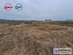 PAN894039 - zdjęcie nr 3