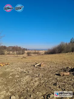 PAN117937203 - zdjęcie nr 2