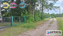 PAN870220 - zdjęcie nr 2