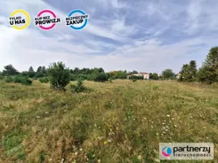 PAN681746 - zdjęcie nr 1
