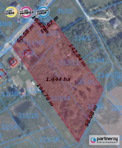 PAN295936 - zdjęcie nr 1