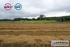 PAN674974 - zdjęcie nr 3