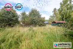 PAN624789 - zdjęcie nr 4