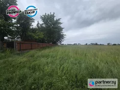 PAN697621 - zdjęcie nr 3