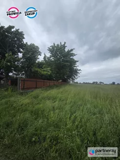 PAN697621 - zdjęcie nr 4