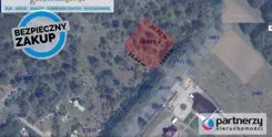 PAN422546 - zdjęcie nr 1