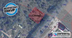 PAN353808 - zdjęcie nr 2