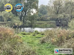 PAN105654 - zdjęcie nr 2