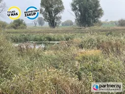 PAN105654 - zdjęcie nr 3
