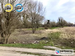 PAN105654 - zdjęcie nr 4