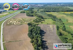 PAN308917 - zdjęcie nr 4