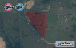 PAN225174 - zdjęcie nr 3