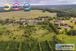 PAN314912 - zdjęcie nr 1