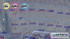PAN763040 - zdjęcie nr 0
