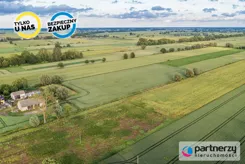 PAN333188 - zdjęcie nr 3