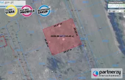 PAN416887 - zdjęcie nr 1