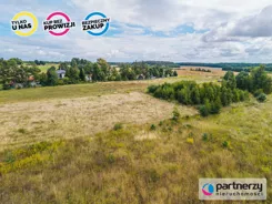 PAN416887 - zdjęcie nr 4