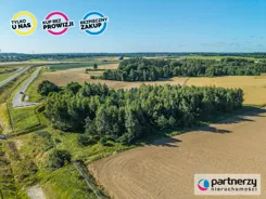 PAN684867 - zdjęcie nr 1
