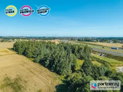 PAN684867 - zdjęcie nr 3