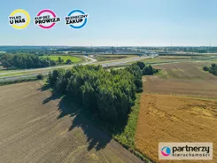PAN684867 - zdjęcie nr 4