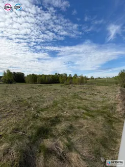 PAN170008 - zdjęcie nr 0