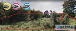 PAN588243 - zdjęcie nr 2