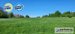 PAN595938 - zdjęcie nr 4