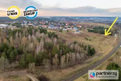 PAN453936 - zdjęcie nr 1