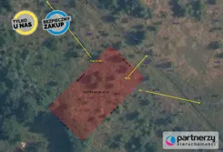 PAN270578 - zdjęcie nr 1