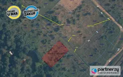 PAN172930 - zdjęcie nr 1