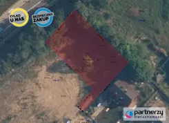 PAN464853 - zdjęcie nr 2