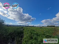 PAN472693 - zdjęcie nr 1