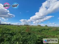 PAN472693 - zdjęcie nr 3