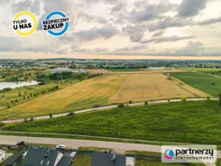 PAN440383 - zdjęcie nr 2