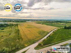 PAN440383 - zdjęcie nr 3