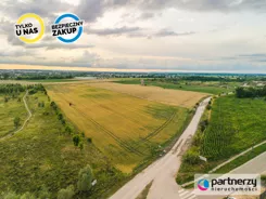 PAN440383 - zdjęcie nr 4