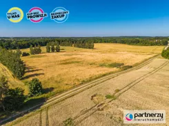 PAN589068 - zdjęcie nr 4