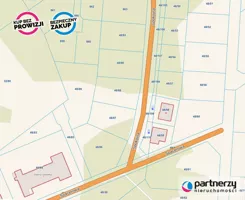 PAN338771 - zdjęcie nr 3