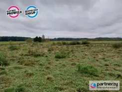 PAN246617 - zdjęcie nr 2