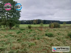 PAN246617 - zdjęcie nr 3