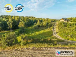 PAN972097 - zdjęcie nr 2