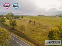 PAN314398 - zdjęcie nr 3