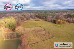 PAN640074 - zdjęcie nr 3