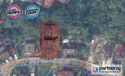 PAN285853 - zdjęcie nr 4