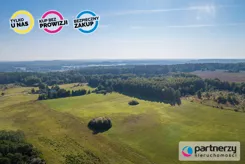 PAN166113988 - zdjęcie nr 4
