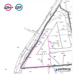PAN702697 - zdjęcie nr 2
