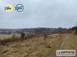 PAN416132 - zdjęcie nr 4